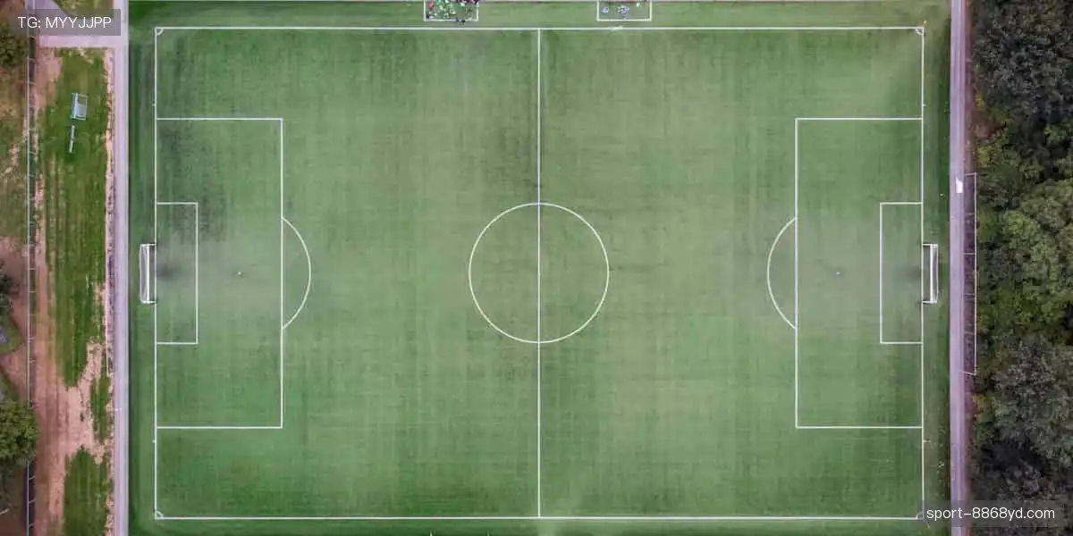 💻【直播平台】实时弹幕互动,你不是一个人在观赛!